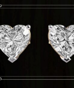Heart Sluds